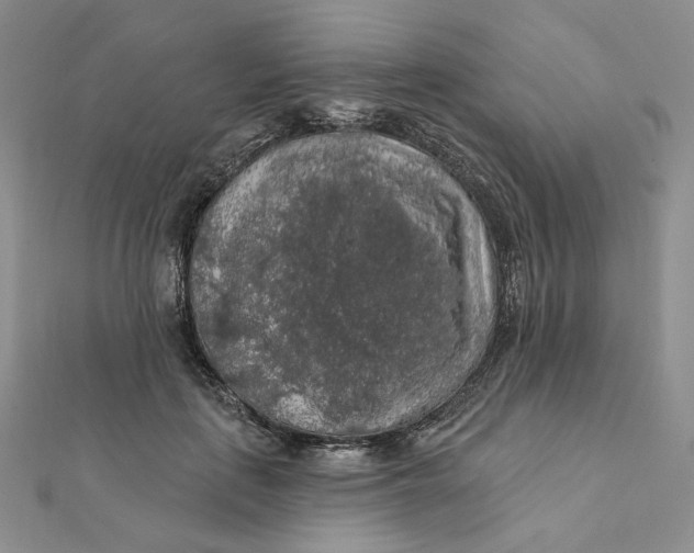 X0000112350651200909031850