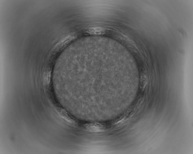 X0000112350652200909031850