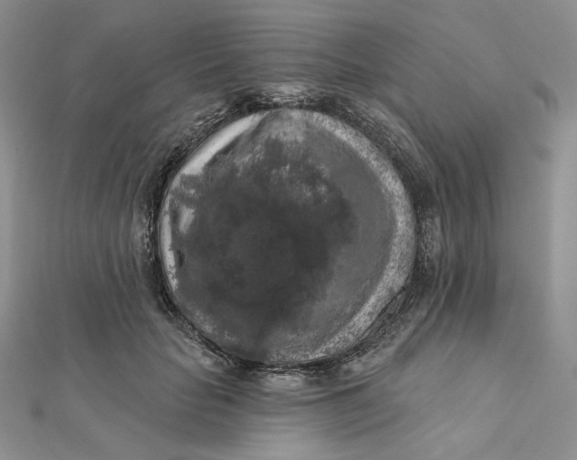 X0000112350653200909031850