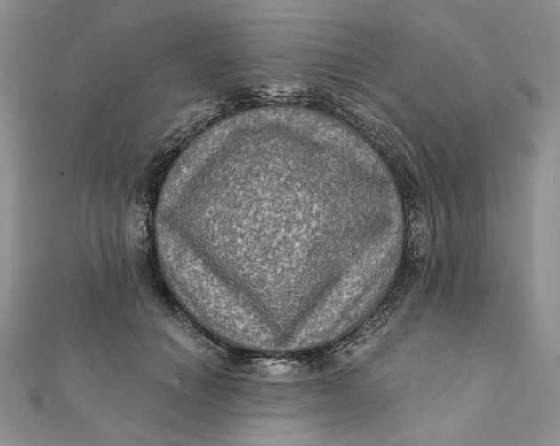 X0000112350654200909031850