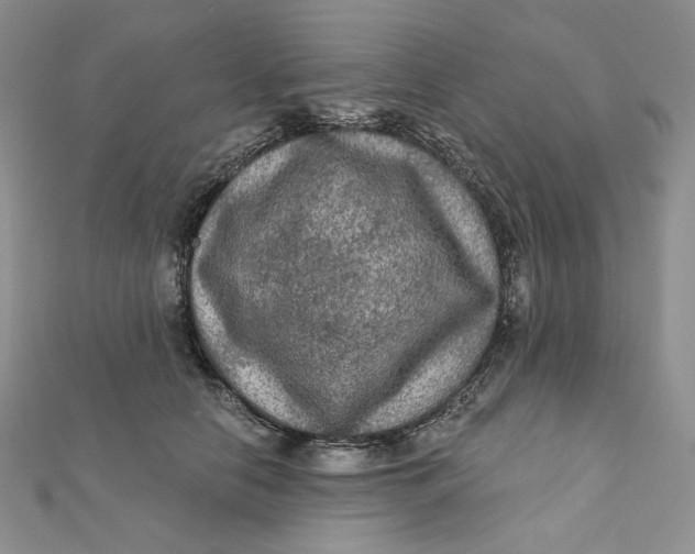 X0000112350658200909031850