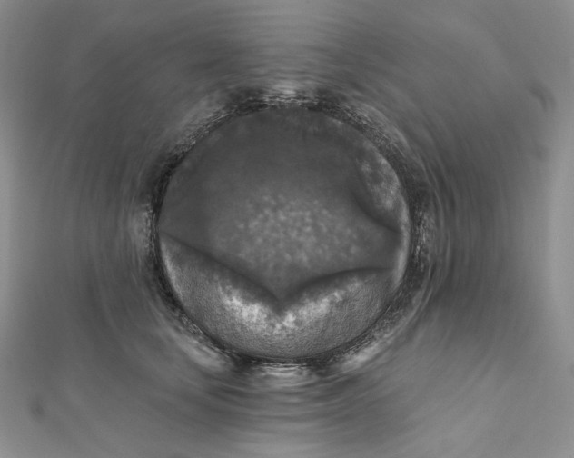 X0000112350659200909031850