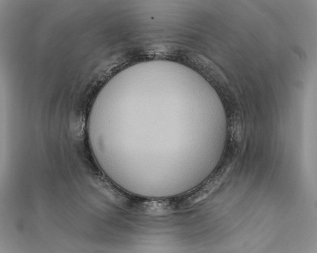 X0000112350660200909031850