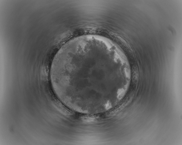 X0000112350661200909031850