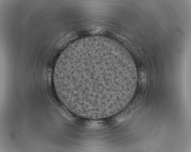 X0000112350664200909031850