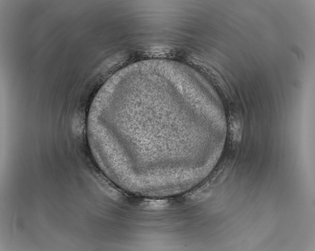 X0000112350665200909031850