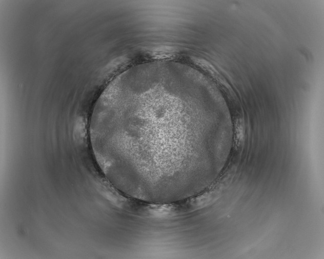 X0000112350667200909031850