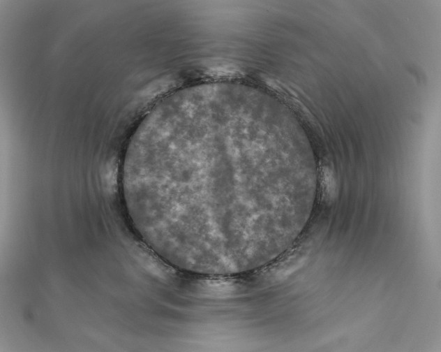 X0000112350668200909031850