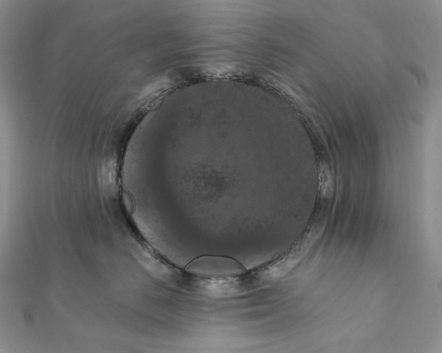 X0000112350670200909031850