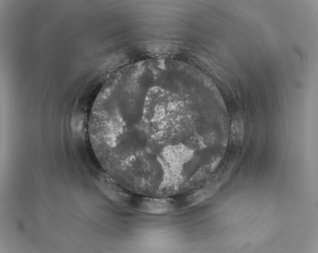 X0000112350671200909031850