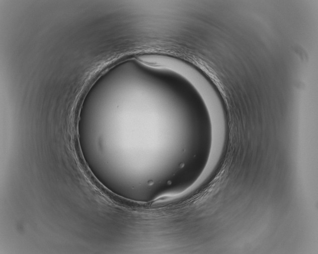 X0000112350673200909031850