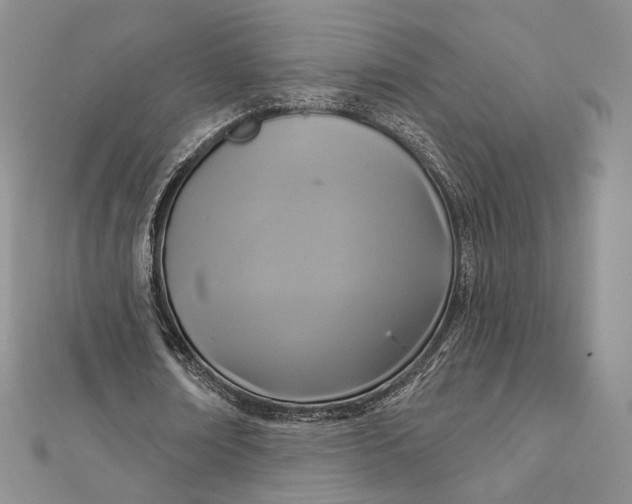 X0000112350674200909031850