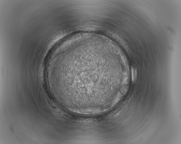 X0000112350675200909031850