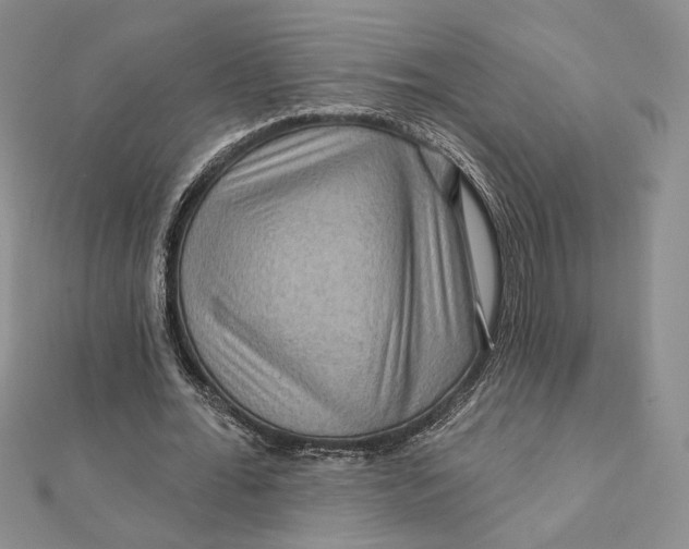 X0000112350676200909031850