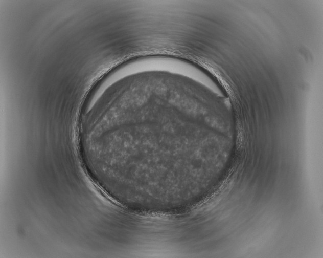 X0000112350677200909031850