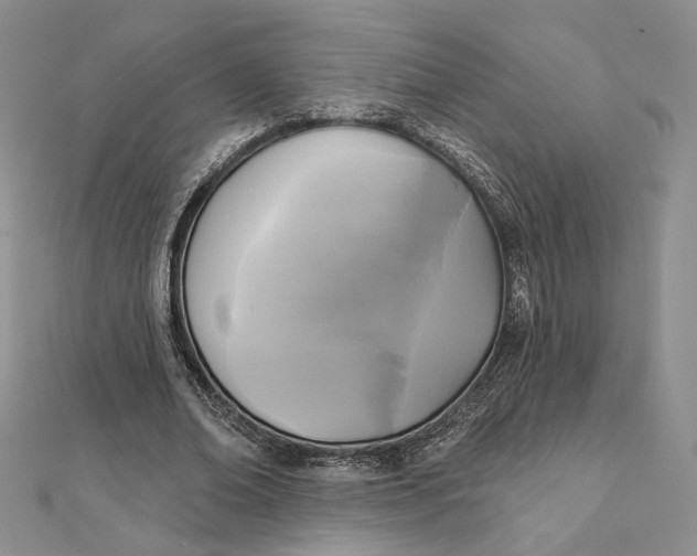 X0000112350678200909031850