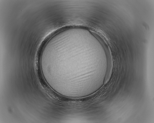 X0000112350680200909031850