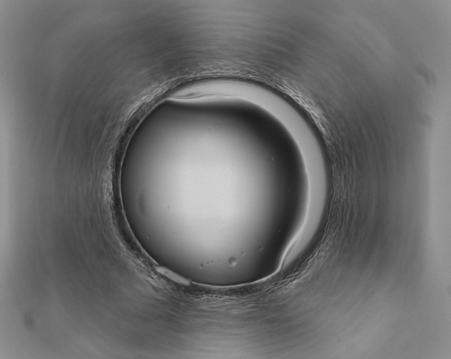 X0000112350681200909031850