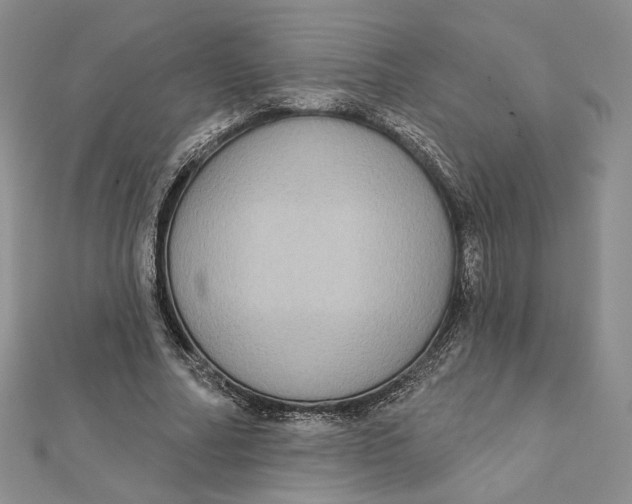 X0000112350682200909031850