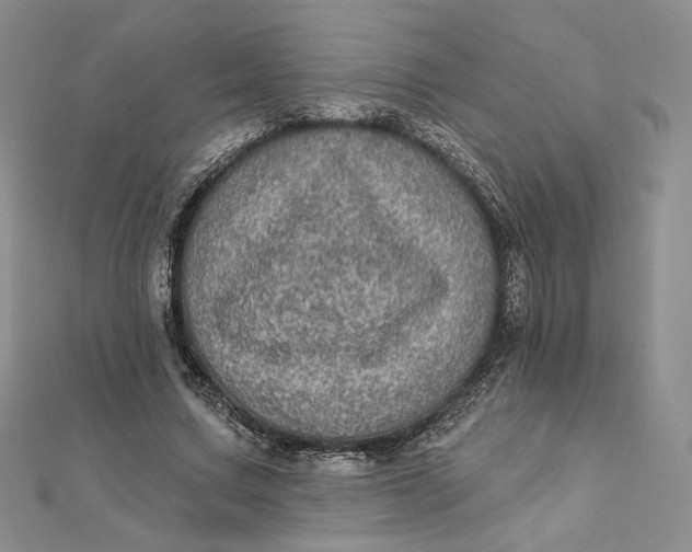 X0000112350683200909031850