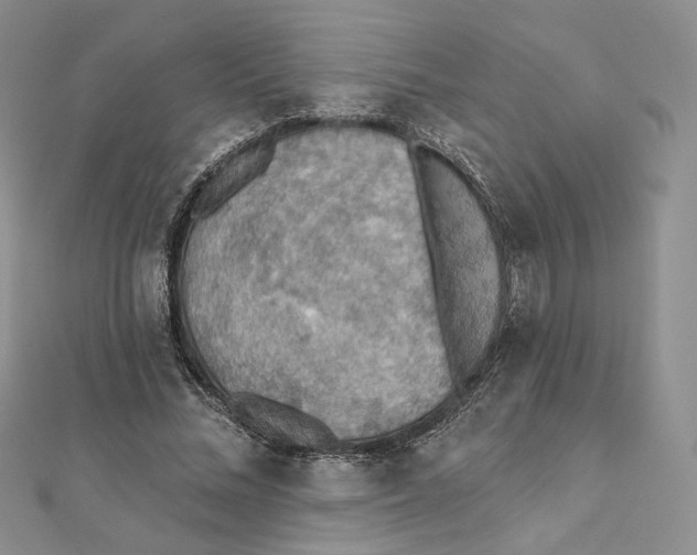 X0000112350684200909031850