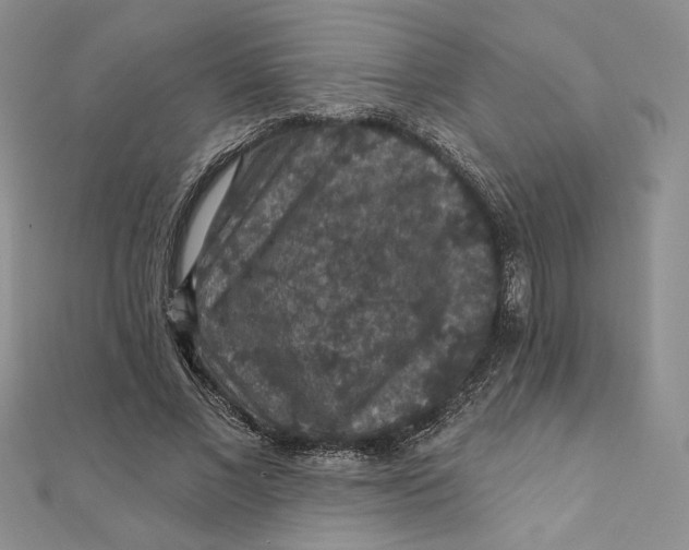 X0000112350685200909031850