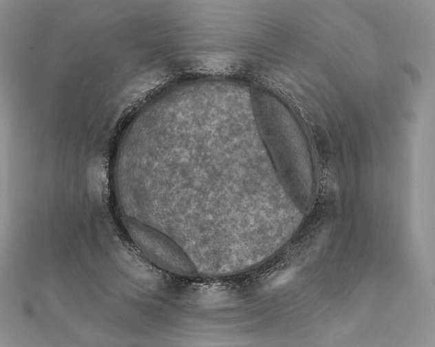 X0000112350688200909031849