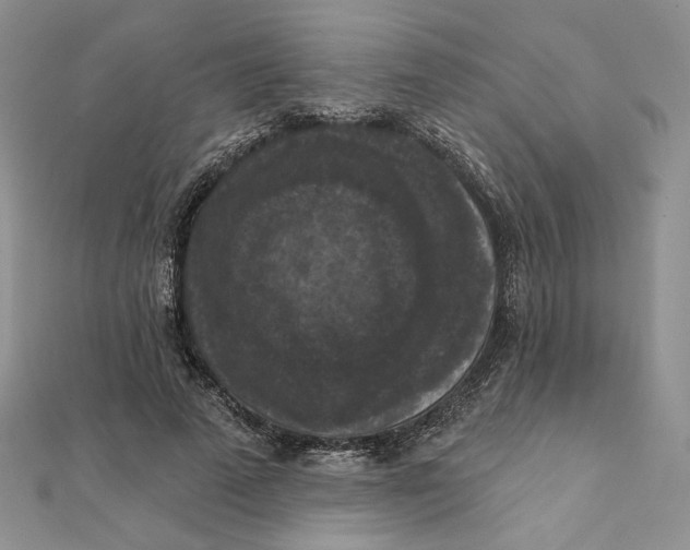 X0000112350689200909031849