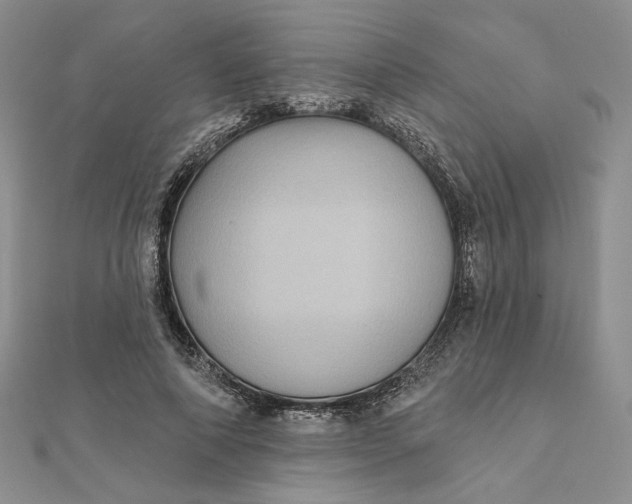 X0000112350690200909031849