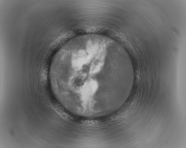 X0000112350691200909031849