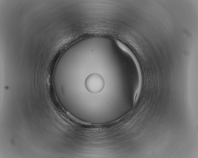 X0000112350692200909031849