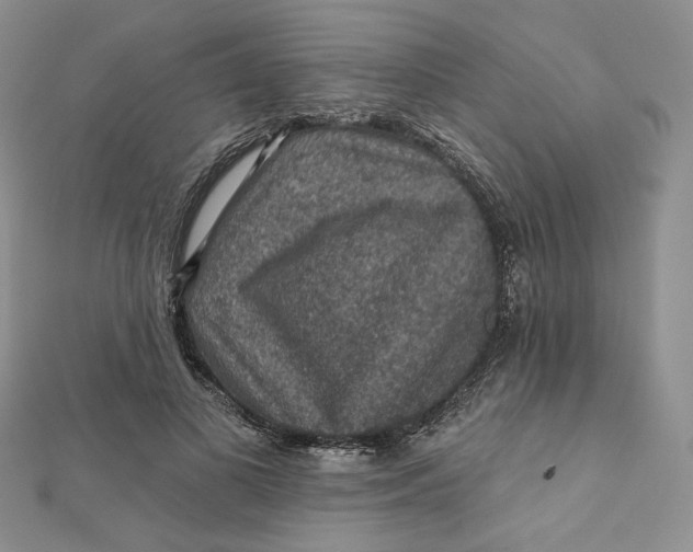 X0000112350693200909031849