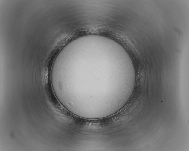 X0000112350694200909031849