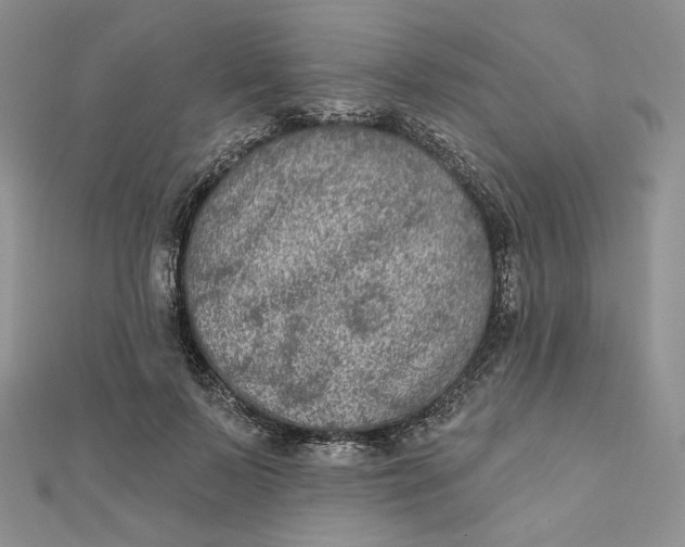 X0000112350695200909031849