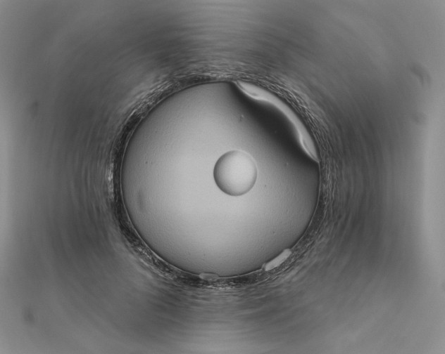 X0000112350696200909031849