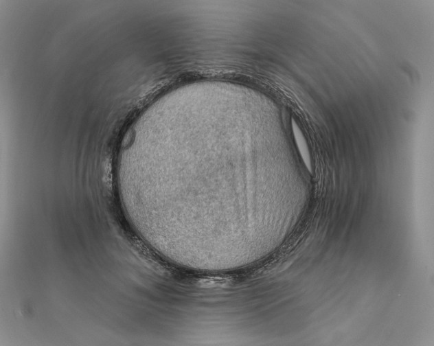 X0000112350700200909031849