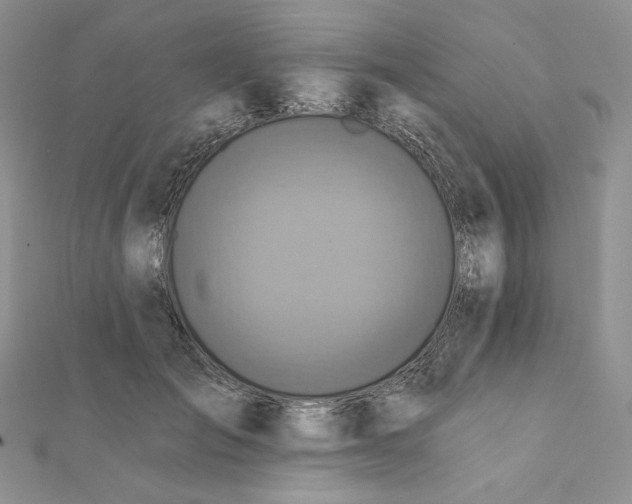 X0000112350701200909031849