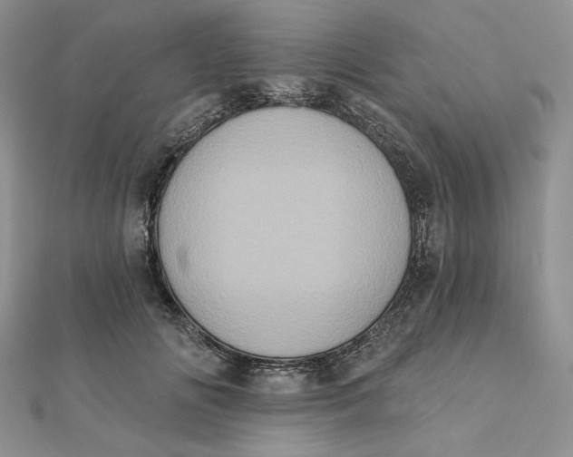 X0000112350702200909031849