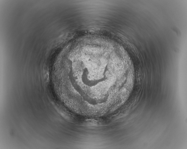 X0000112350703200909031849