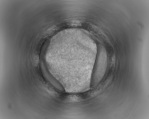 X0000112350704200909031849