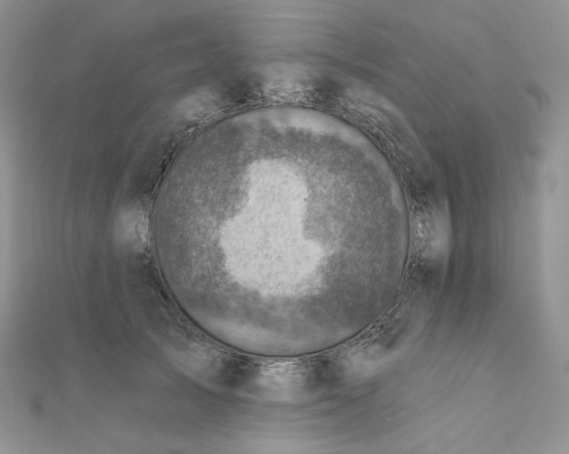 X0000112350705200909031849