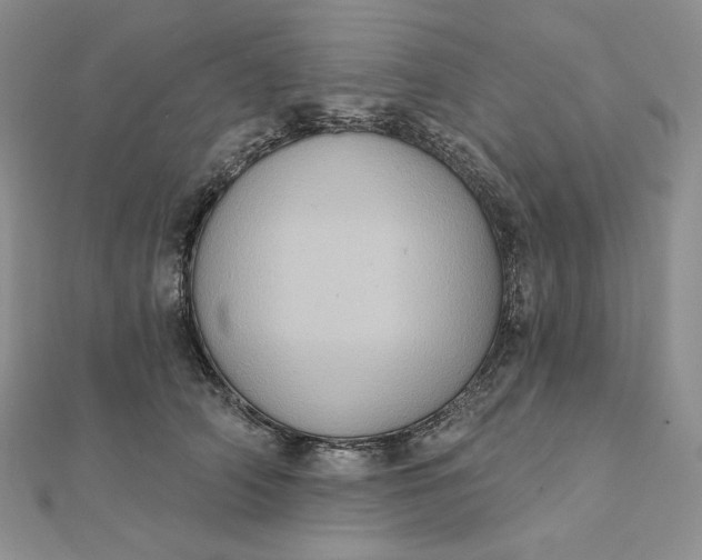 X0000112350706200909031849