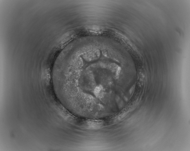 X0000112350707200909031849