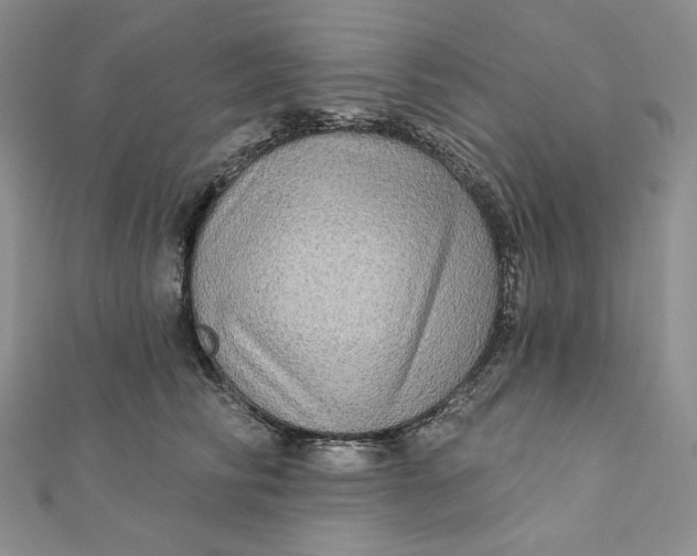 X0000112350710200909031849