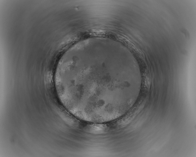 X0000112350711200909031849