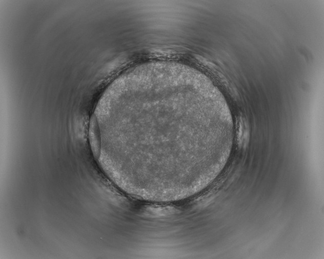 X0000112350712200909031849