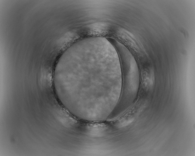 X0000112350716200909031849