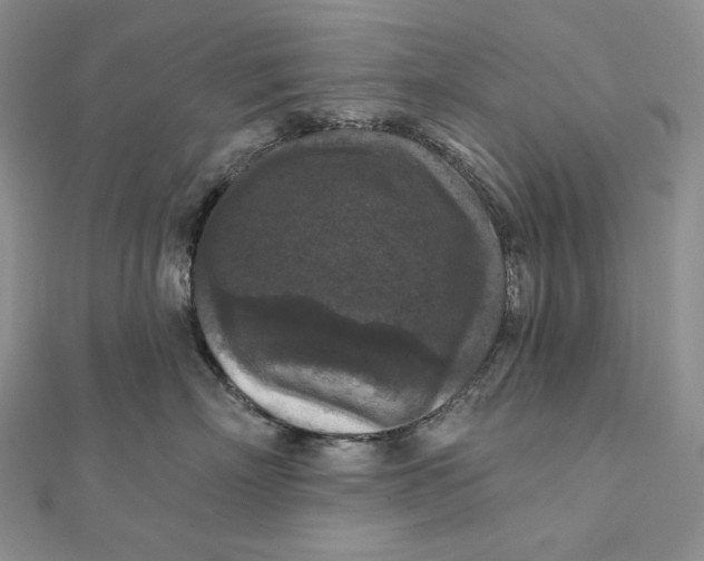 X0000112350718200909031849