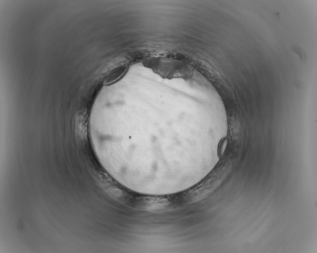 X0000112350719200909031849