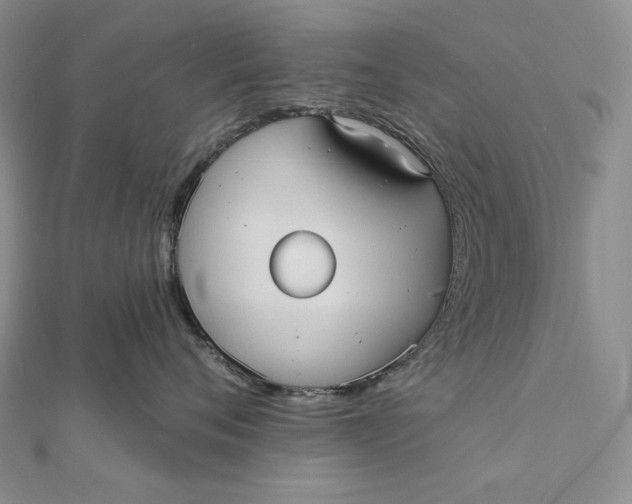 X0000112350720200909031849